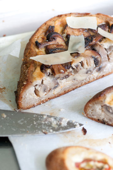 צילום: דן חיימוביץ' צילום: דן חיימוביץ'