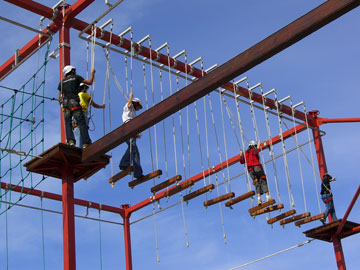 צילום: אריאלה אפללו צילום: אריאלה אפללו
