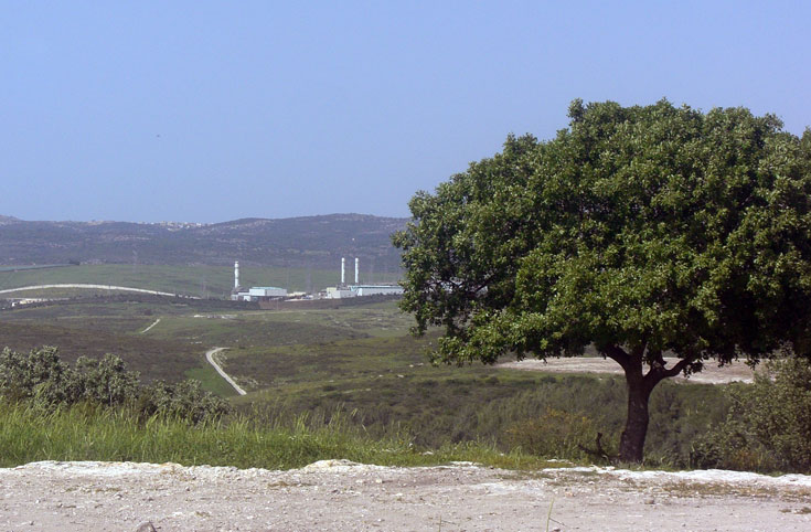 תצפית מיערות מנשה פארק רמות מנשה תצפית מיערות מנשה