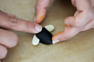 צילום: דודו אזולאי צילום: דודו אזולאי