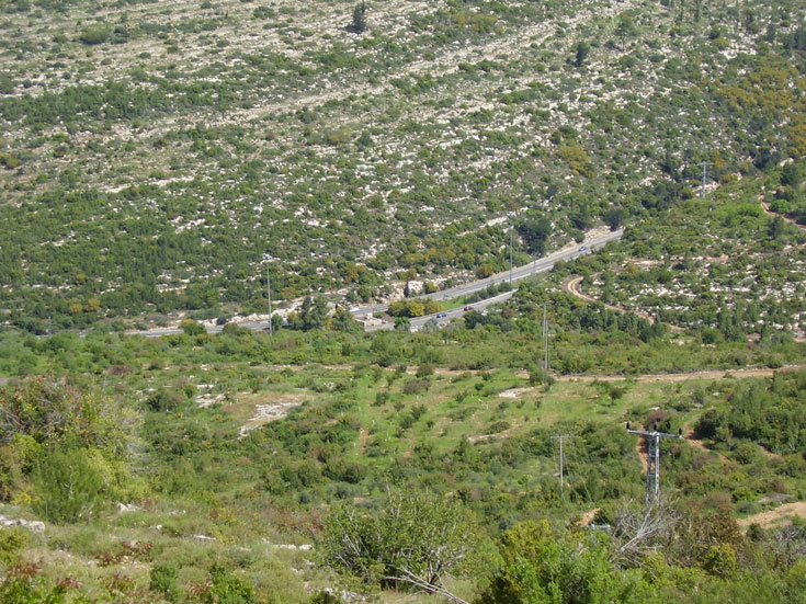 נוף הרי יהודה ופריחה מגוונת בימי החורף. פארק רבין, סמוך לבית שמש פארק רבין שער הגיא