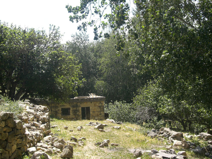 המעין הנסתר בגוש חלב המעיין הנסתר בגוש חלב סתיו בשלכת גליל