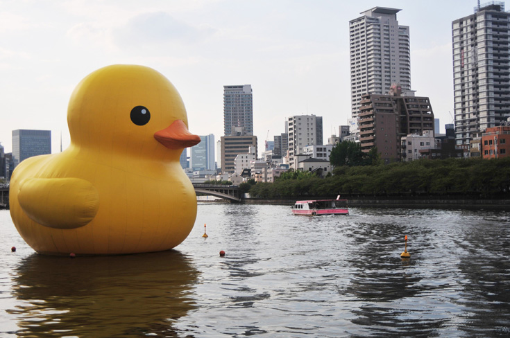 הברווז הצהוב פלורנטיין הופמן