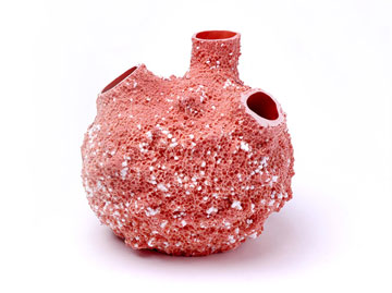 צילום: איתי אוהלי צילום: איתי אוהלי