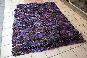 צילום: טל ניסים צילום: טל ניסים