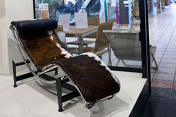 צילום: טל ניסים צילום: טל ניסים